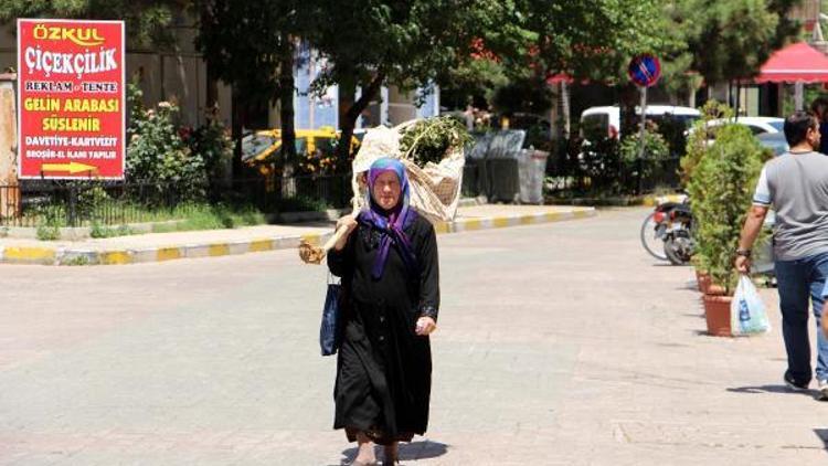 Kesilen ağacını omuzladı, Neden kestiniz diye belediyeye hesap sordu