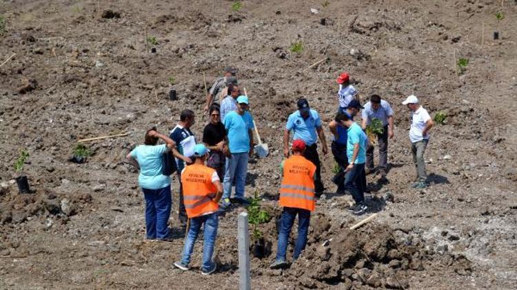 Ayvacık’ta 15 Temmuz Şehitleri Hatıra Ormanı oluşturuldu