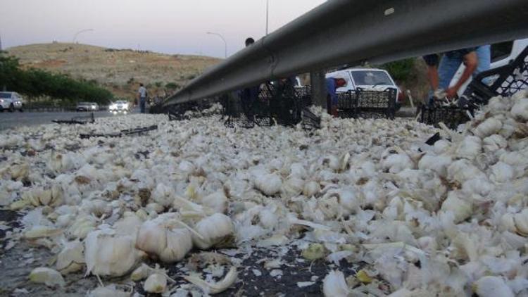 Bariyerlere çarpan TIRdaki 23 ton sarımsak yola saçıldı