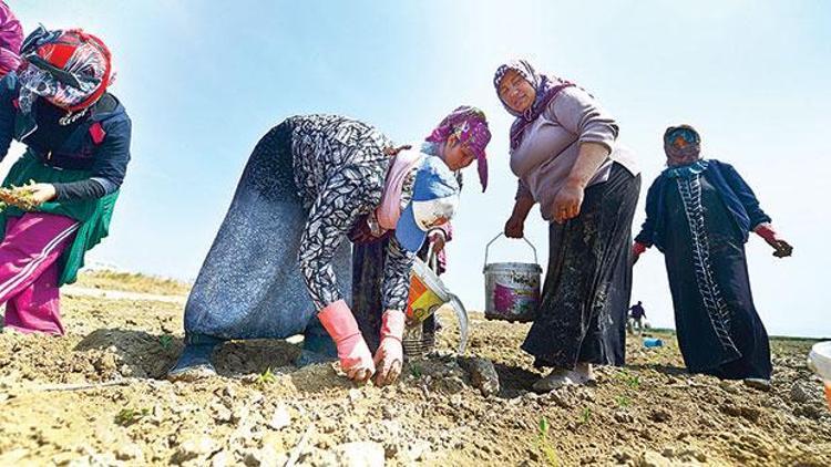 Tarladaki yabancıya itiraz