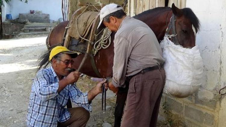 Bayramiçin son nalbantı