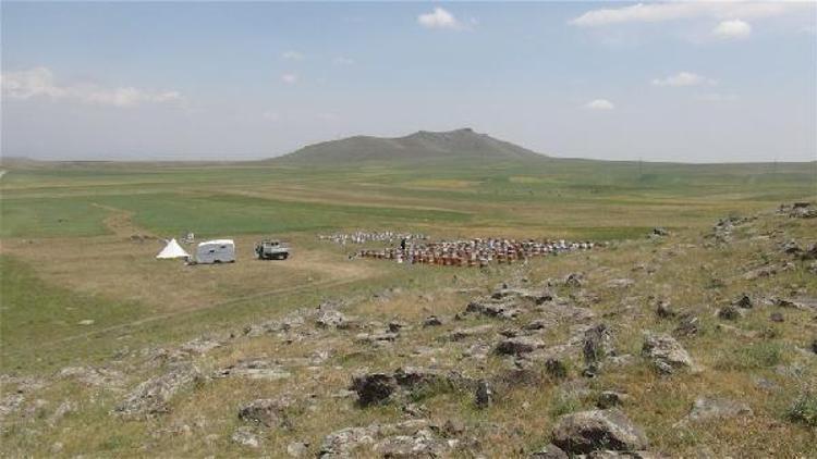 Doğuda kuraklık en çok arıcıları vurdu