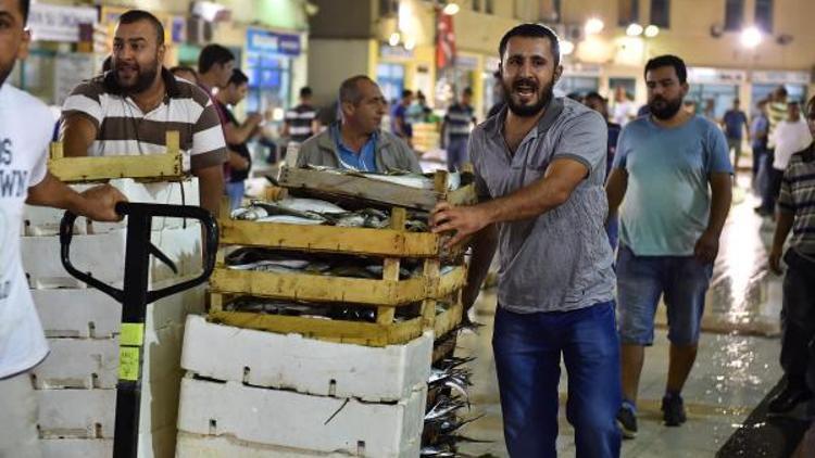 Yenilenen balık haline ilgi arttı