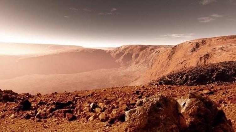 Elon Musk Marsa 1 milyon insan yollayacak