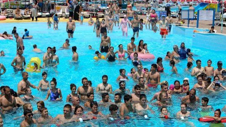 Antalyada sıcaktan bunalan havuza koştu