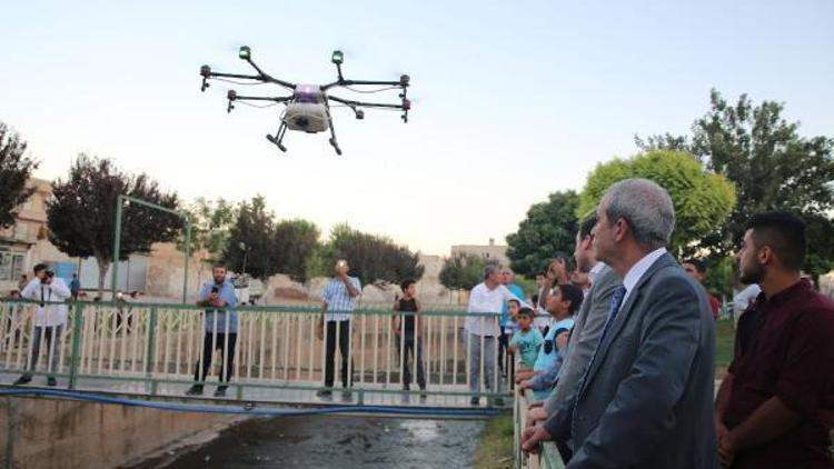 Şanlıurfada drone ile haşere ilaçlaması