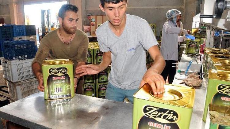 Hacı adayları Türk zeytin ve zeytinyağı yiyecek