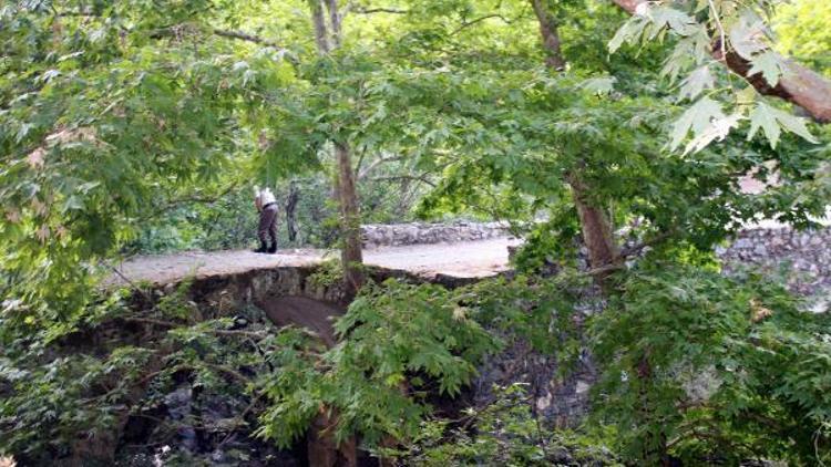 Emekli zabıt katibi cinayeti şüphelisi aranıyor