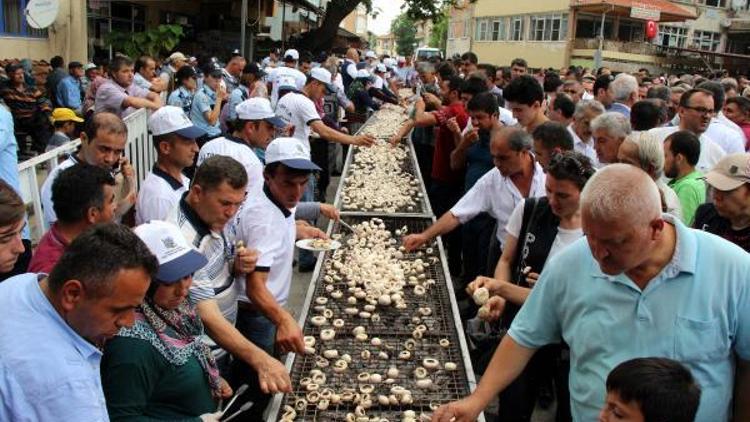 Altınyaylada Mantar Festivali