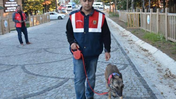 Ekipler, Uludağda kaybolan Katarlı turist çocuğu bulmak için seferber oldu