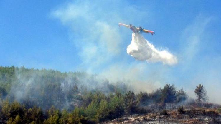 Hatay’da orman yangını (2)