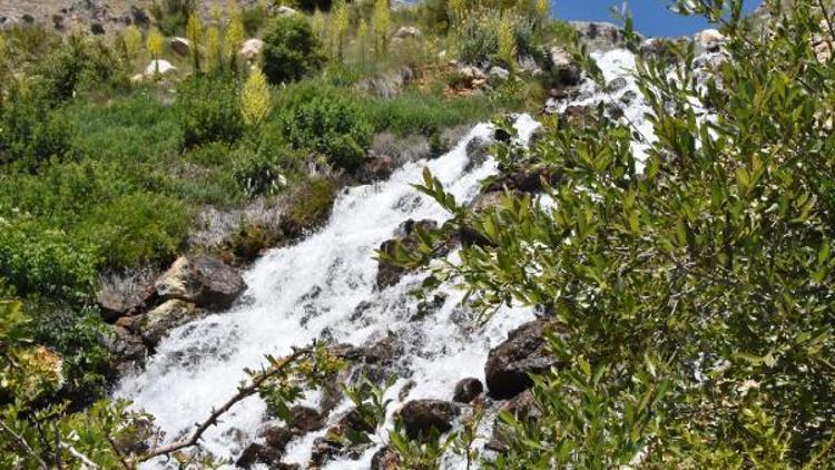 Torosların kutsal suları