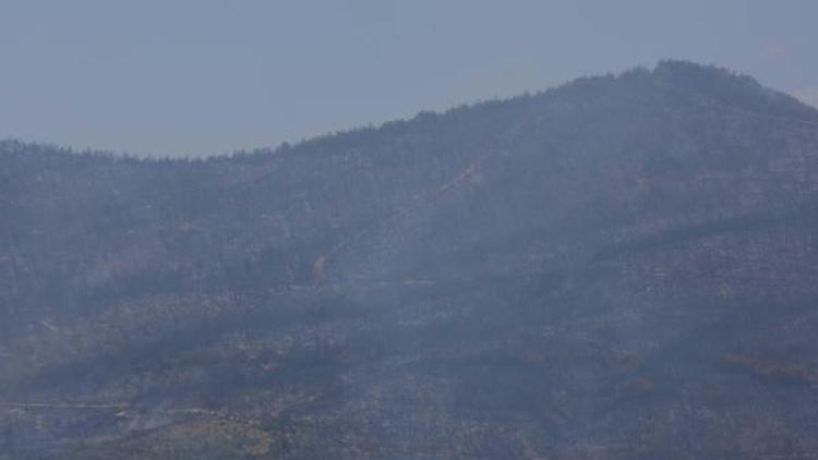 İzmirdeki orman yangınında 500 hektar zarar gördü