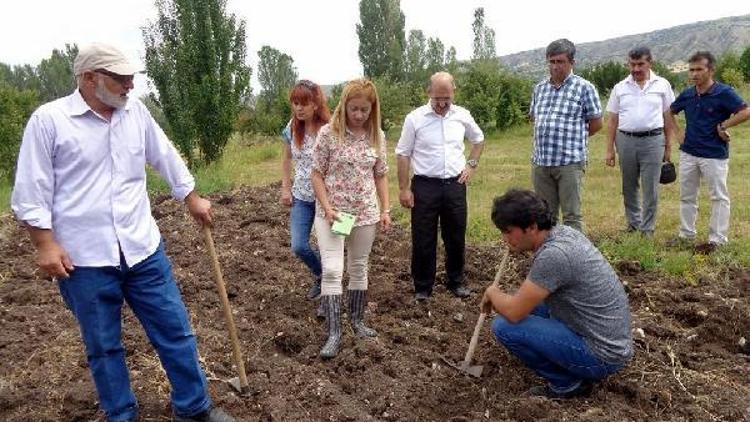 Doğal Çiçek Projesi Çankırıda uygulanmaya başlandı