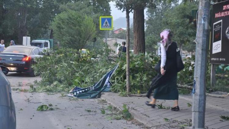 İstanbula inemeyen uçaklar, Bursaya yönlendirildi