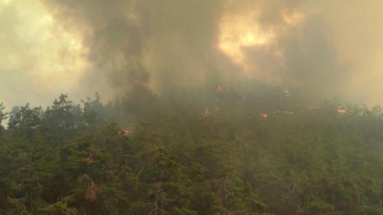 İzmirdeki orman yangınında 500 hektar zarar gördü - ek fotoğraflar