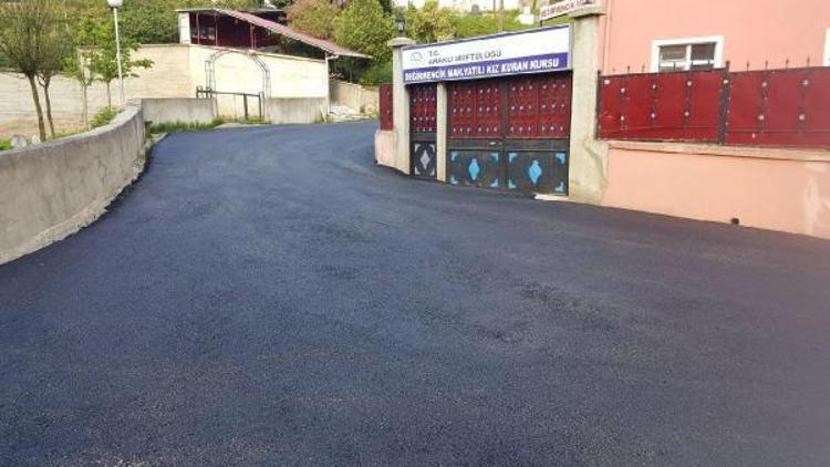 Trabzon Büyükşehir Belediyesi asfaltlama çalışmalarına hız verdi