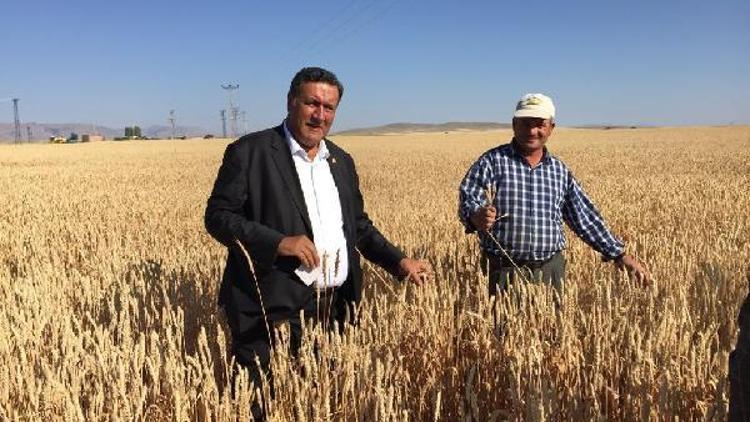 CHPli Gürerden tarım politikasına eleştiri