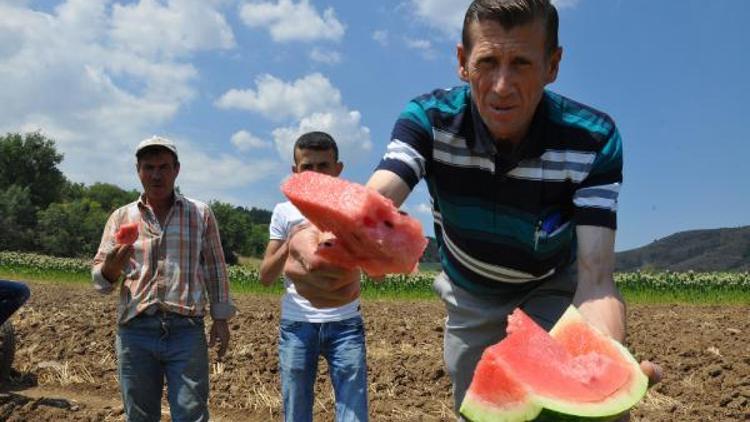 İnegöl Çavuşköy karpuzu Adana ile yarışıyor