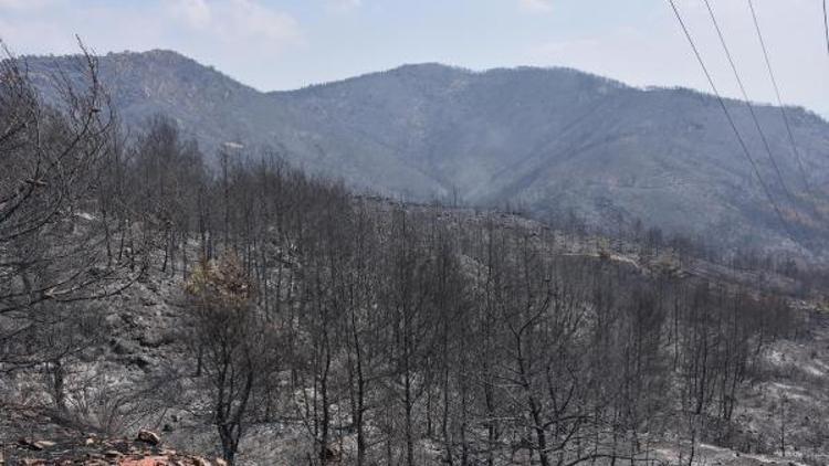 Orman Bakanı yanan alanları havadan inceleyecek