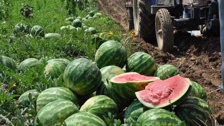 Hem sıcaklar hem fiyatlar yaktı