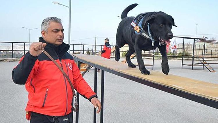 İzmirin kahraman köpeği hayatını kaybetti