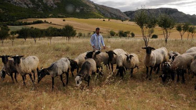 Taliban zulmünden kaçtı, kamyonet kasasında yaşıyor