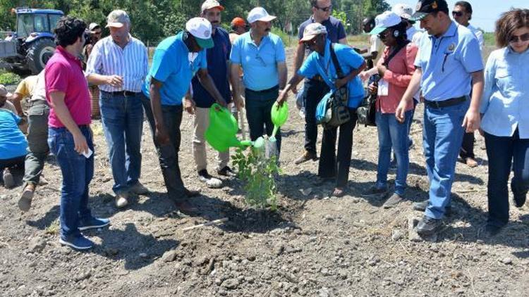 Mersinde 13 Afrika ülkesi adına hatıra ormanı kuruldu