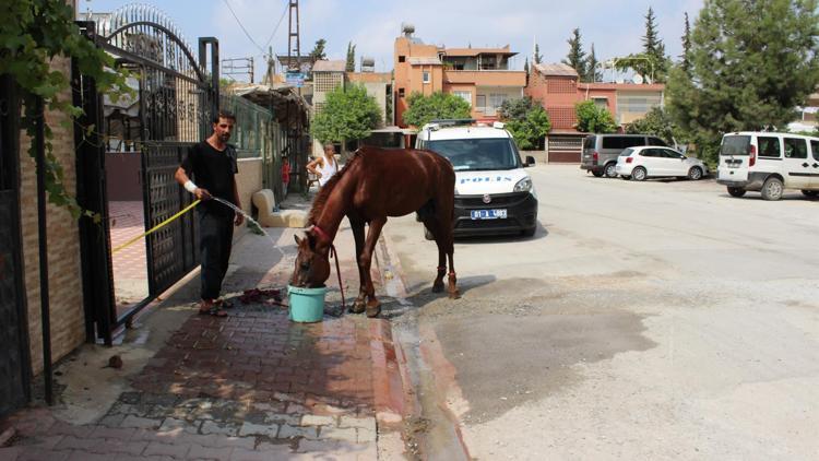 Burası Adana: Rögar kapaklarını çaldılar at arabasıyla polisten kaçtılar