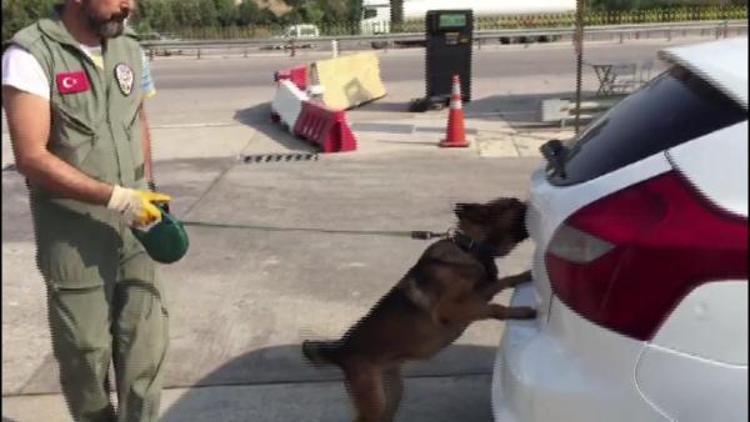 Araç motorunda 5.5 kilo toz esrar ele geçirildi