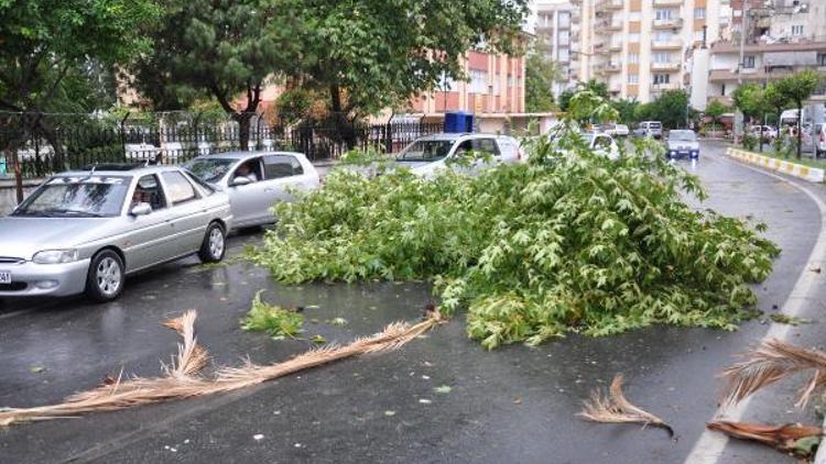 Halk otobüsünün üzerine ağaç ile aydınlatma direği devrildi