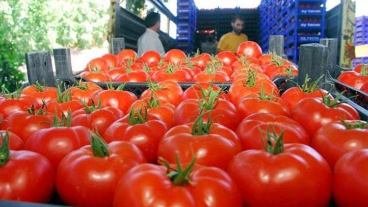 Rusyadan çok önemli domates açıklaması