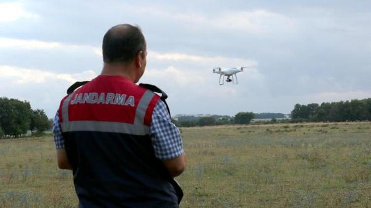 Jandarmadan drone ile havadan kenevir operasyonu