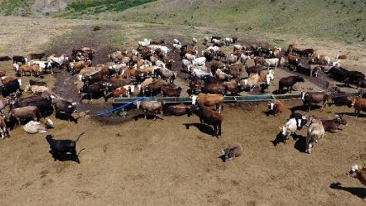 Beypınarından Başkan Sekmene teşekkür