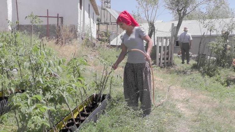 Genç Çiftçi projesi geçim kaynağı oldu