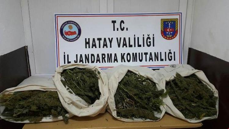 Hatayda 17 kilo kubar esrar ele geçirildi