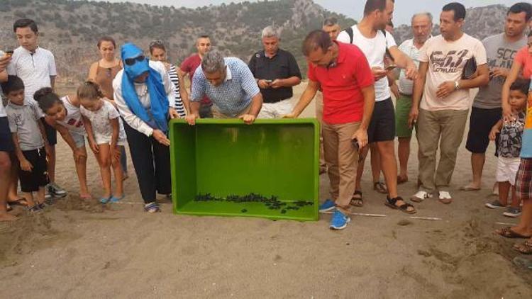 İztuzunda engelli öğrenciler carettaları denizle buluşturdu