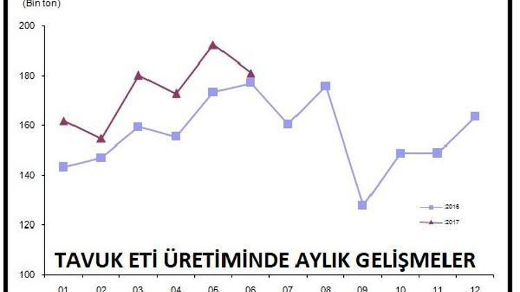 Yılın ilk yarısında yumurta üretimi yıllık yüzde 22.4 arttı