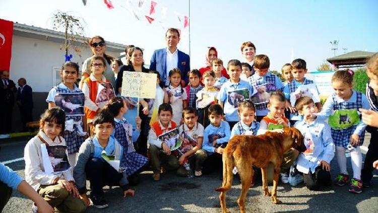 Beylikdüzünde tüm hayvanlar ücretsiz aşılanacak