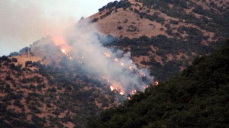 Tuncelide 6 bölgede başlayan orman yangınları devam ediyor