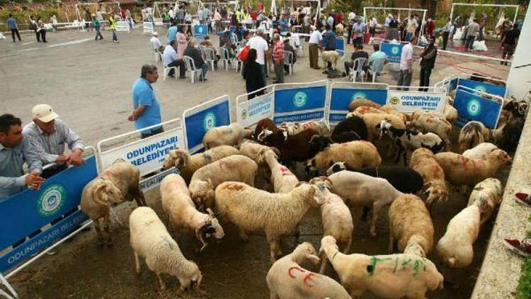 Odunpazarından ücretsiz kurban kesim hizmeti