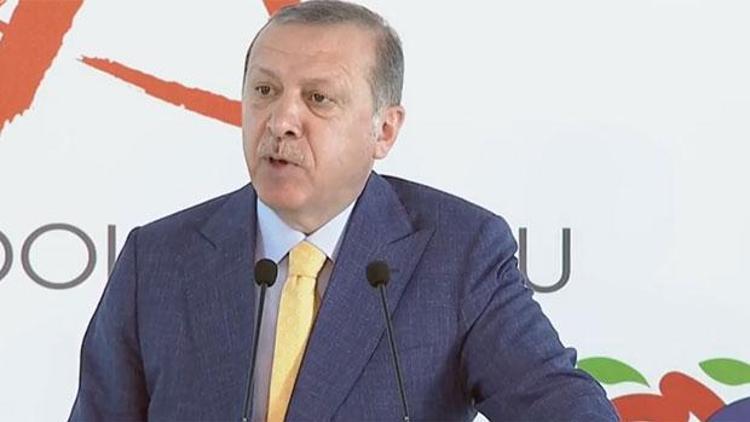 Erdoğan: Türkiyeye yatırım yapan pişman olmaz