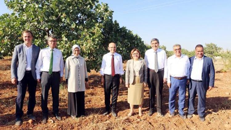 Oğuzeli hizmetlerle büyüyor