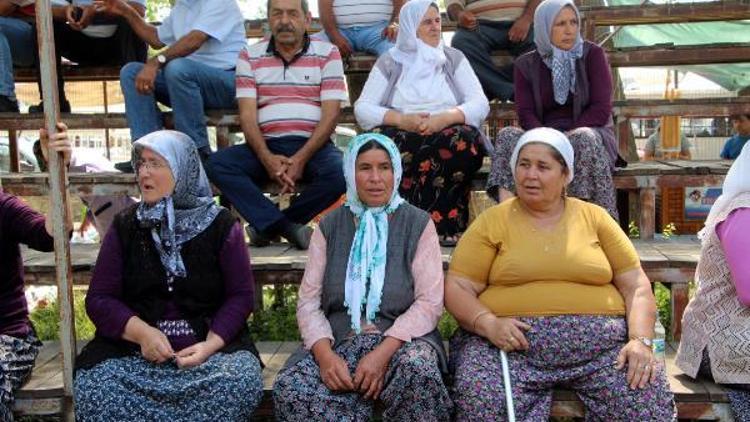 Seydikemerde üç telli bağlama ve cura festivali