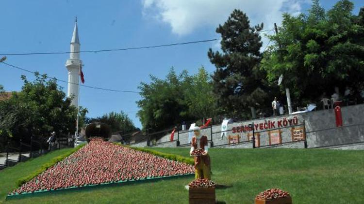 Yalova’da çilek festivali coşkusu