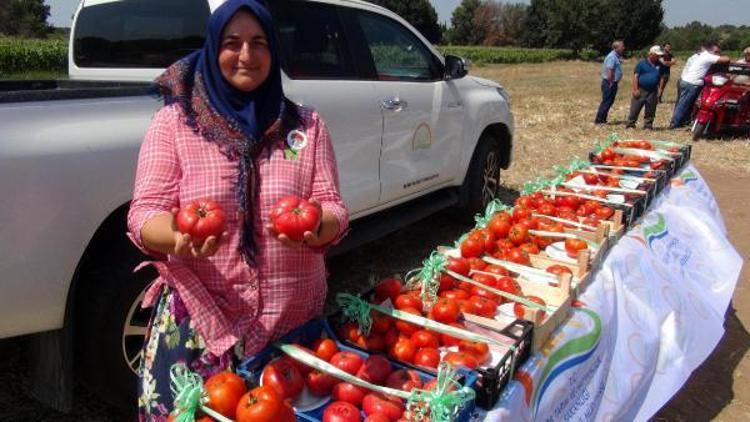 Dümrek Köyünde tarla günü düzenlendi