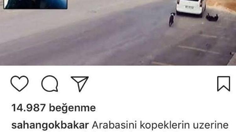 Şahan Gökbakar: Hayvanları öldürmek cinayettir