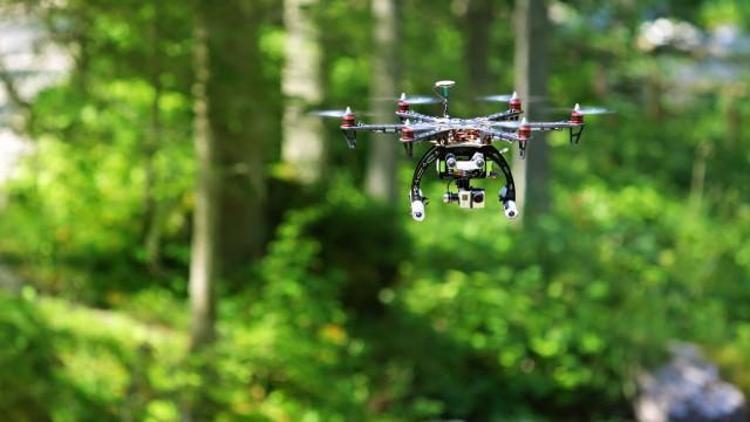 Droneler gökyüzünden bütün bir orman ekiyorlar