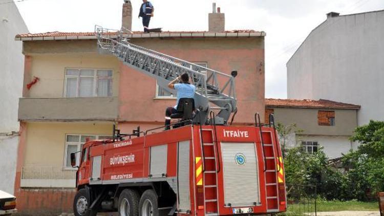 İtfaiye ekibinden korkan kediler çatıdan atladı