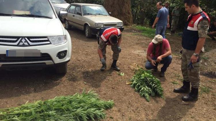 Karı-koca uyuşturucu operasyonunda gözaltına alındı